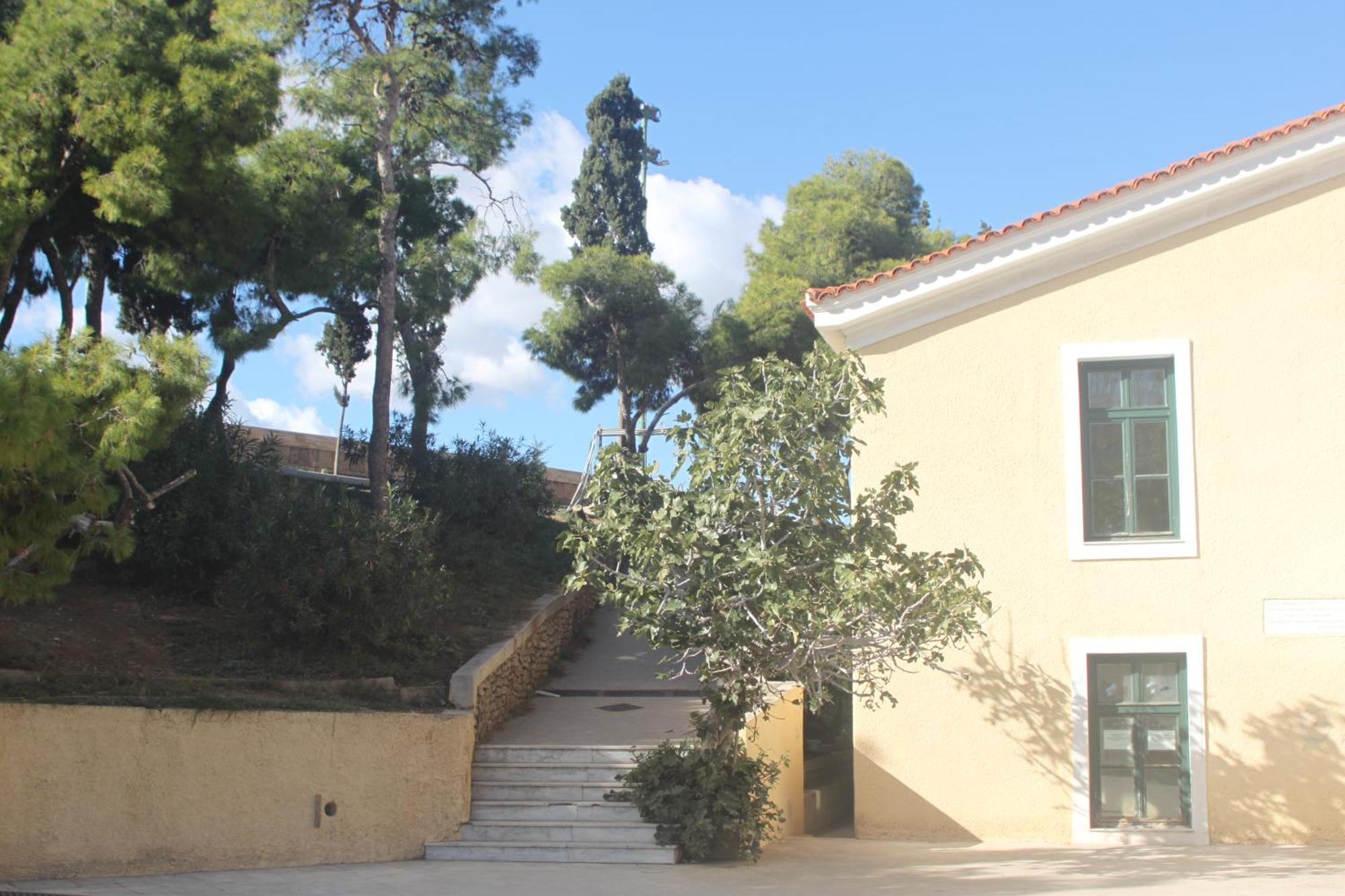 "Under The Olive Tree"- Beautiful Apartment In The Heart Of Athen Eksteriør billede