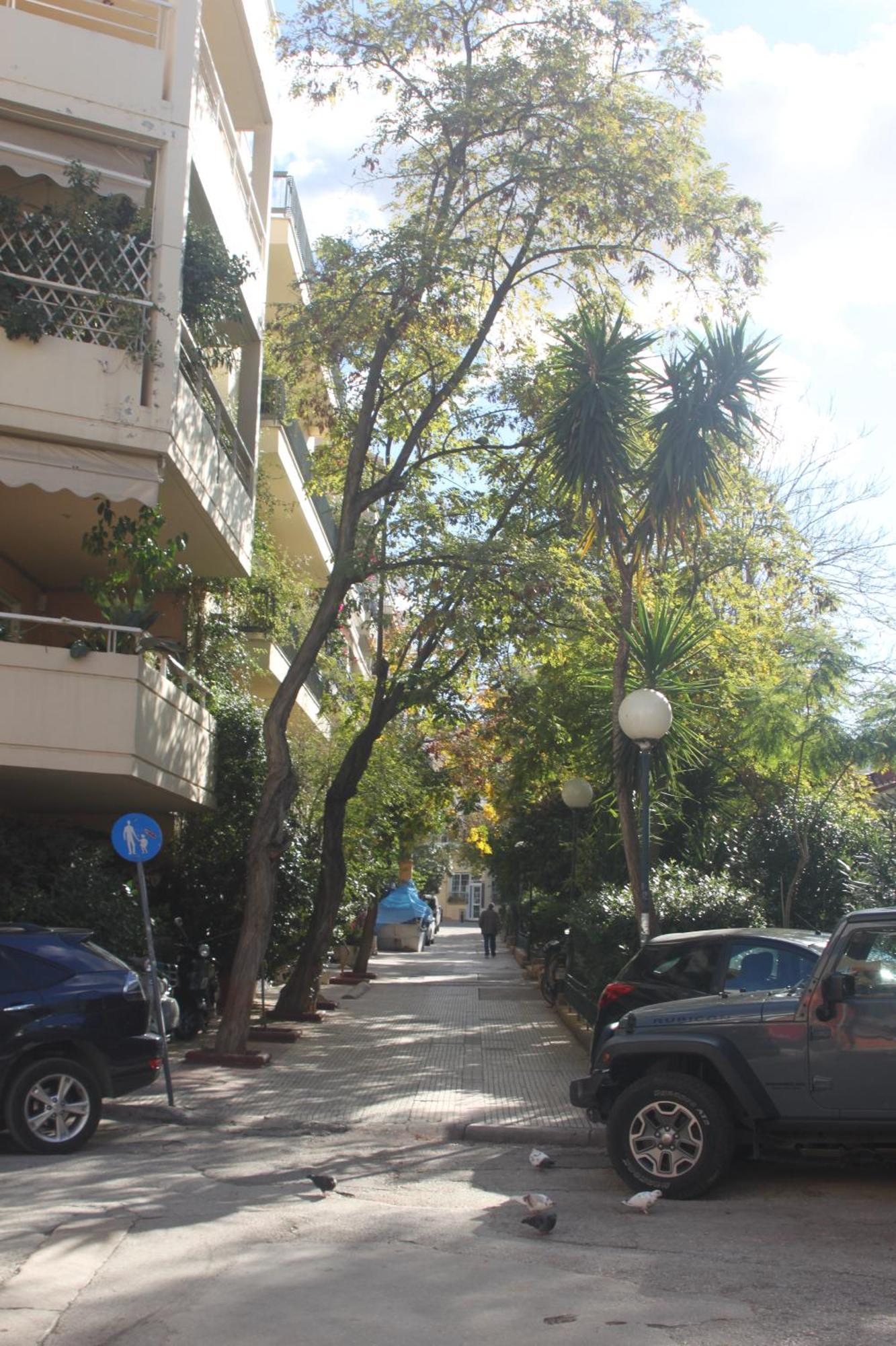 "Under The Olive Tree"- Beautiful Apartment In The Heart Of Athen Eksteriør billede